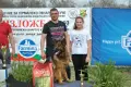 Продават се елитни малки старо немски овчарки ( с дълъг косъм) 2 момичета и 2 момчета.С родословие , снимка 4