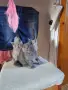  Свободни малки сладури търсят нов дом, снимка 2