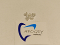 Дентален правоъгълен лингвален бутон композит ApogeyDental LBM0008 Цена за 1 бр., снимка 1 - Стоматология - 44921862