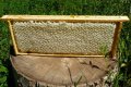 100% Чист пчелен мед от производител Горски букет!, снимка 10
