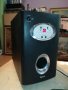 SOLD OUT-TEVION DSS-2100 POWERED SUBWOOFER 0110211639, снимка 9