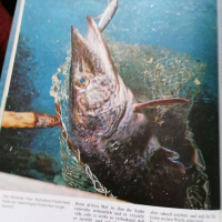 Книга за риболова , снимка 10 - Енциклопедии, справочници - 36168475