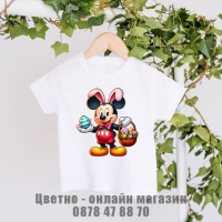 Бебешки бодита, детски тениски за Великден, снимка 8 - Детски тениски и потници - 44835892