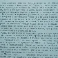 Реквием за една мръсница - Богомил Райнов, снимка 6 - Българска литература - 40418675