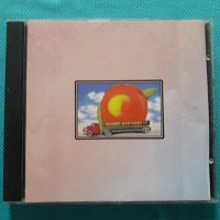 The Allman Brothers Band -4CD(Blues), снимка 3 - CD дискове - 40649815