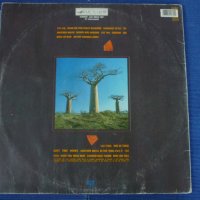 грамофонни плочи Pink Floyd - Delicate Sound of Thunder/2Lp/, снимка 2 - Грамофонни плочи - 42449067