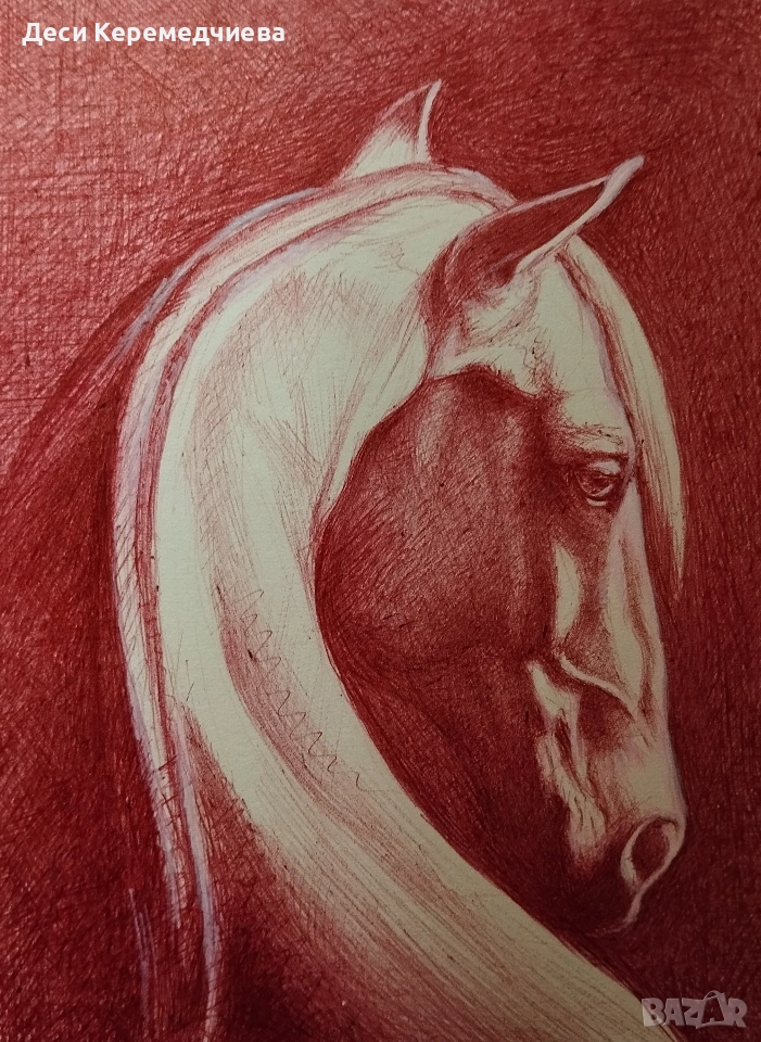 глава на кон, снимка 1