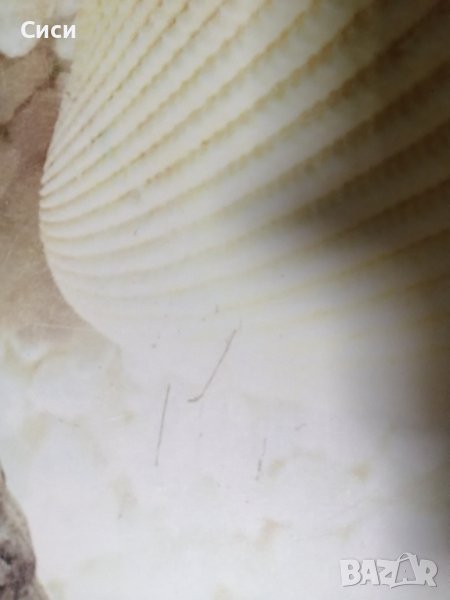 тоалетна седалка от дуропласт с функция за плавно спускане , снимка 1