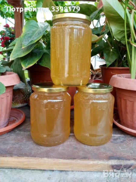 Пчелен мед "БУКЕТ", снимка 1