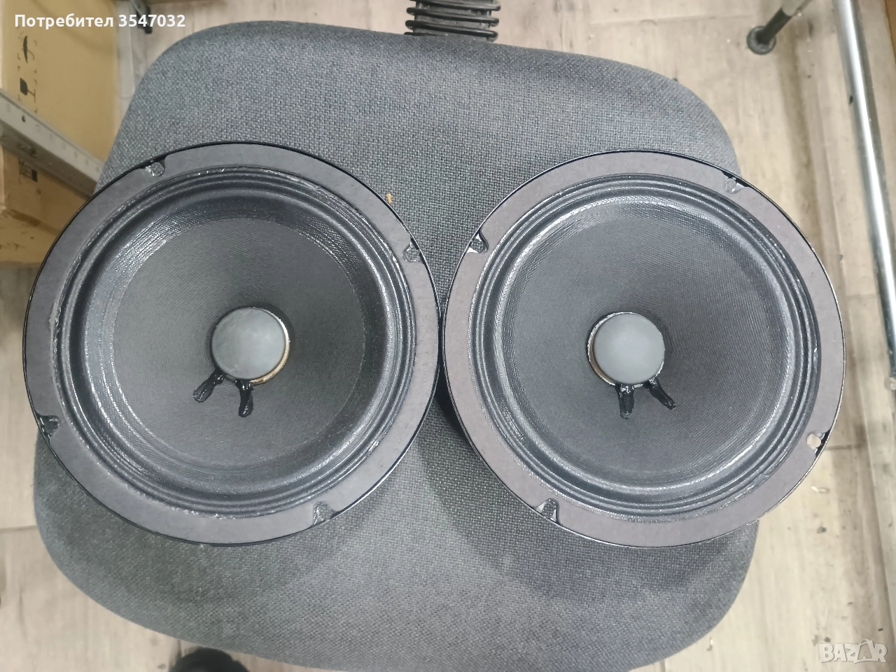 среди 8" EMINENCE, снимка 1