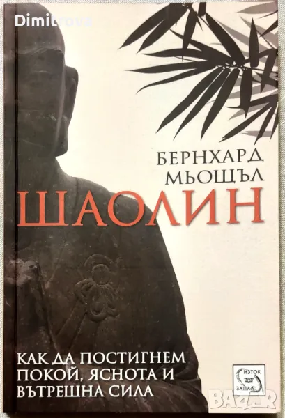 Шаолин - Как да постигнем покой, яснота и вътрешна сила - Бернхард Мьощъл, снимка 1