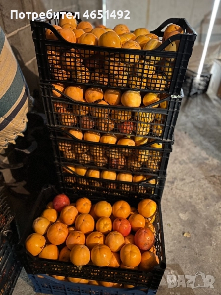 Продавам райски ябълки, снимка 1