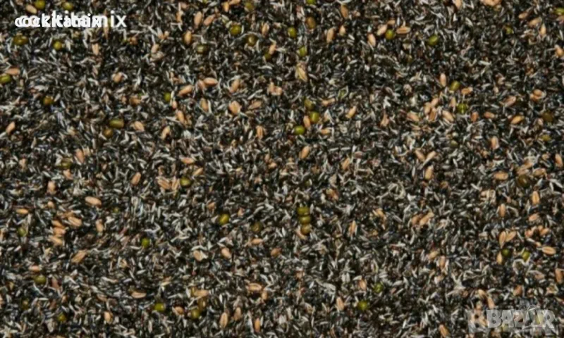 Семена за покълване за канари и други дребни птици ITALMIX - 1кг, снимка 1