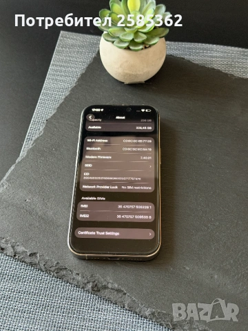 iPhone 16 Pro 256GB Natural Titanium / 92% Батерия / Перфектен технически, снимка 5 - Apple iPhone - 53758463
