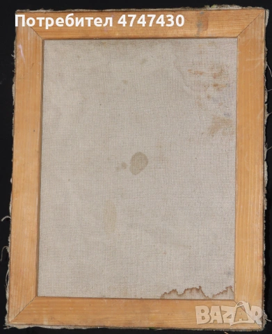 Елка Найденова картина маслени бои натюрморт, снимка 3 - Картини - 53647163