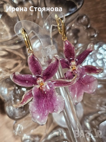 Обеци с естествен цвят на орхидея , снимка 10 - Обеци - 52387375