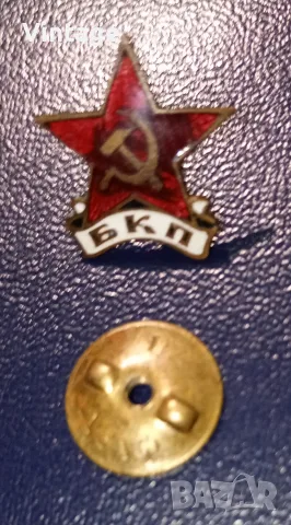 Рядка значка на винт с емайл 1970 година, снимка 6 - Колекции - 55816949