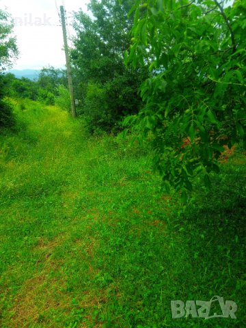 Продавам парцел в село Краево област София, на 20 километра от Ботевград , снимка 11 - Парцели - 39934050