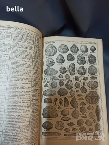 Френска илюстрована енциклопедия Larousse Tout En Un твърди корици 1921 год ., снимка 10 - Енциклопедии, справочници - 48688964