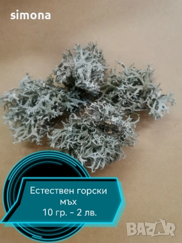 Естествени материали за коледна декорация , снимка 8 - Други - 52313805