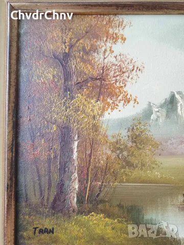 38x33см/2бр стари картини масло върху платно/пейзажи/картина в дървена рамка, снимка 4 - Картини - 49028098