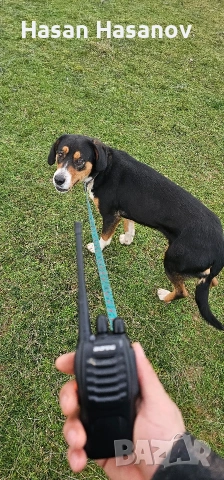 женска на 1г.8м работи на заек и сърни , снимка 2 - Други - 53249357