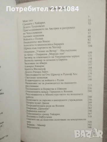 Лабиринт / Валтер Шеленберг, снимка 2 - Художествена литература - 55973757