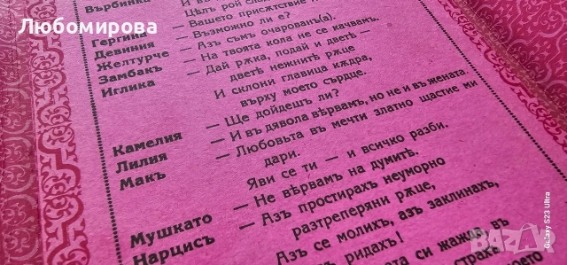 Шегите на Амура/Любовната игра на нашите баба и дядо , снимка 4 - Други - 53661517