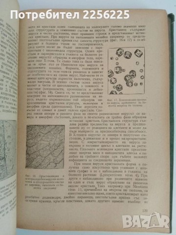 Обща фитопатология, снимка 5 - Специализирана литература - 51559099