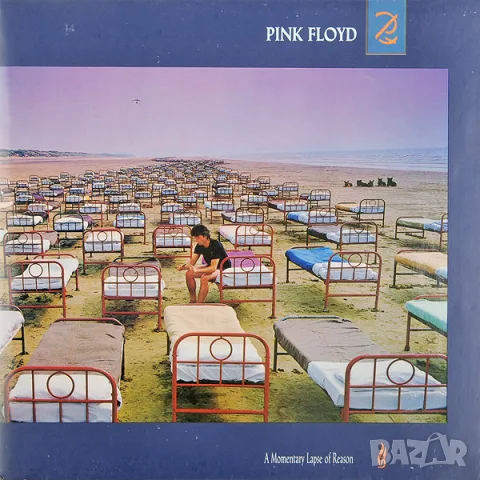 Грамофонни плочи Pink Floyd – A Momentary Lapse Of Reason