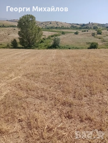  Земеделска земя, 4 дка, категория 8 , снимка 3 - Земеделска земя - 50755747