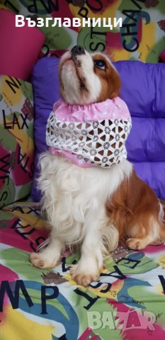 Снуд за кучета за предпазване, снимка 11 - За кучета - 35984279