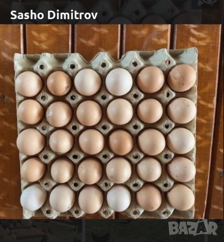 домашни яйца. , снимка 2 - Други животни - 52014877