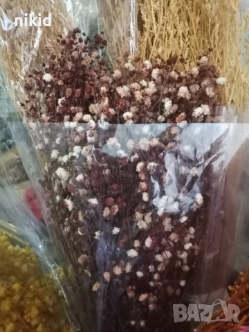 Сухи ситни цветя Гипсофила Гипсофил цветчета цветенца клонки сноп букет аранжиране бутониери сапун, снимка 7 - Изкуствени цветя - 36142609