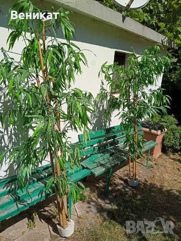 Изкуствен бамбук 180/190см