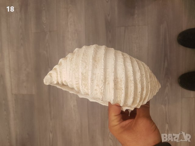 Саксия, снимка 3 - Декорация за дома - 40250421