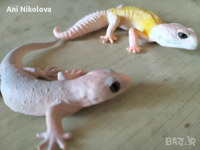 Реалистични играчки 