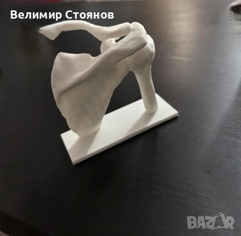 Анатомични макети на човешката костна система, снимка 2 - Енциклопедии, справочници - 53400681