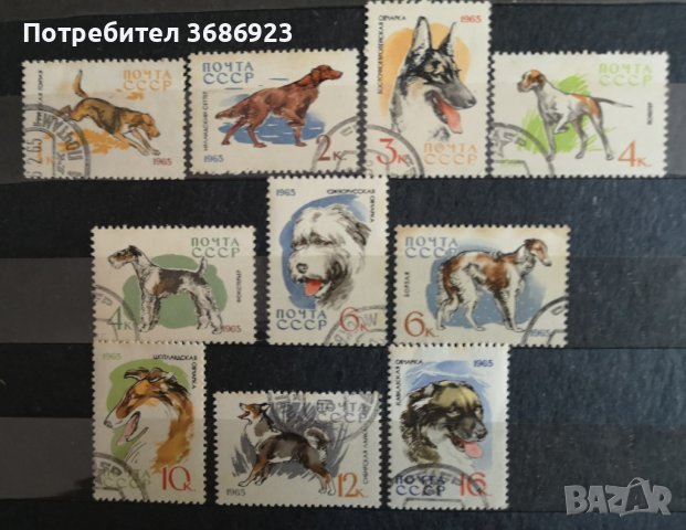 1965 СССР кучета, снимка 1 - Филателия - 41820254