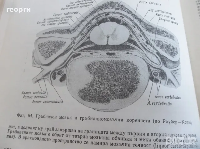 Книга..........., снимка 7 - Специализирана литература - 55878201