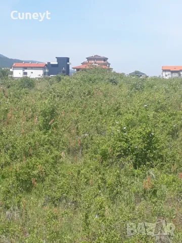 Парцел в Асеновград , снимка 3 - Парцели - 50363469