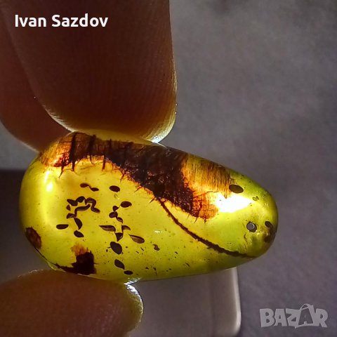 Кехлибарени висулки, снимка 16 - Колиета, медальони, синджири - 39611774