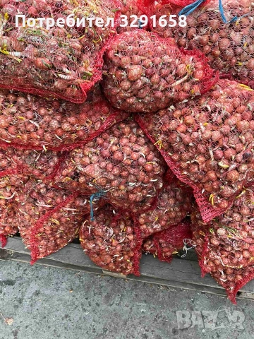 Продавам Балучка