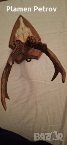 Кулие +гривна и ваза и роги , снимка 14 - Гривни - 27173851