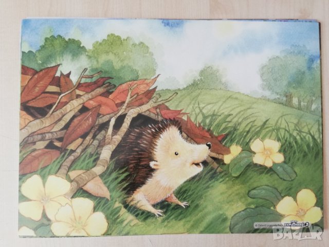 First Explorers 2 Teacher's Resource Pack, снимка 11 - Чуждоезиково обучение, речници - 41537091