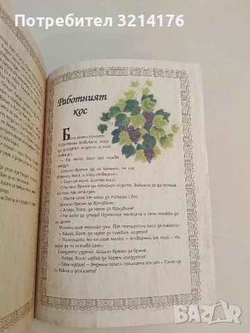 От Вечерница до Зорница. Най-хубавите български приказки – Сборник, снимка 2 - Детски книжки - 51275045