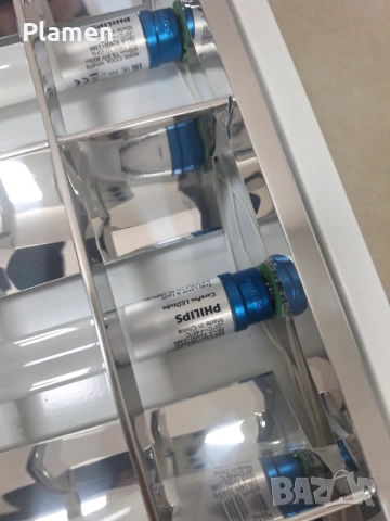 Крушки с пури 5 броя