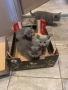 Британски котенца, снимка 1