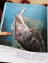 Книга за риболова , снимка 10