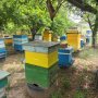 Пчелни семейства( кошери), снимка 1 - За пчели - 40917621